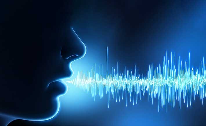 voicebots
