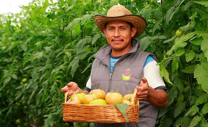 Agricultores mexicanos beneficiados con el proyecto de Teksi  